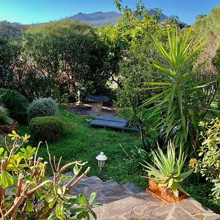 La Flamingo Toute Proche De La Casa de Férias *