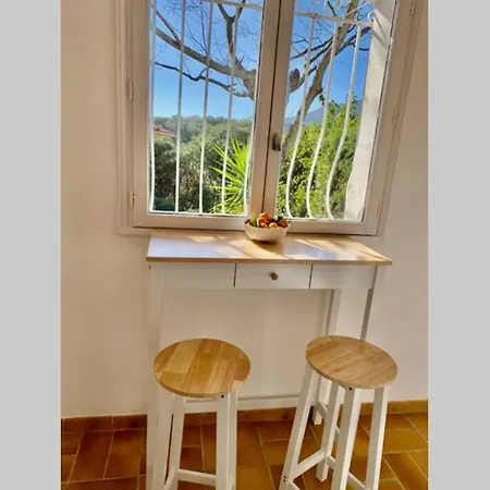 La Flamingo Toute Proche De La Biguglia (Corsica)