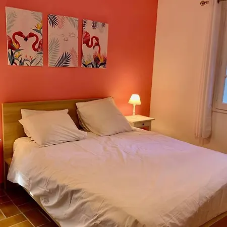 La Flamingo Toute Proche De La * Biguglia (Corsica)