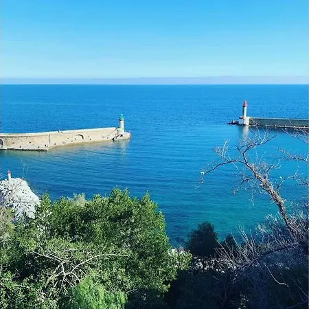 La Flamingo Toute Proche De La Casa de Férias Biguglia (Corsica)