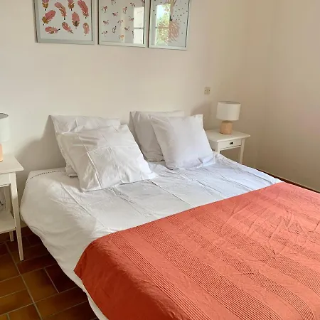 La Flamingo Toute Proche De La