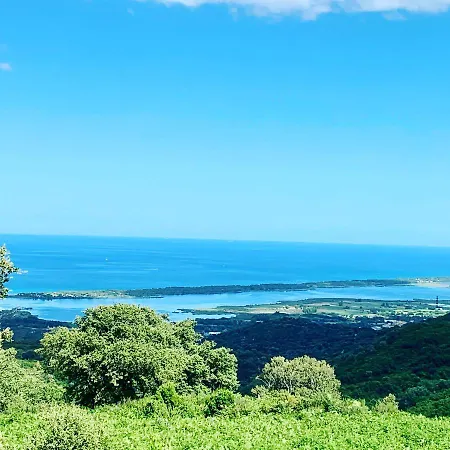 La Flamingo Toute Proche De La