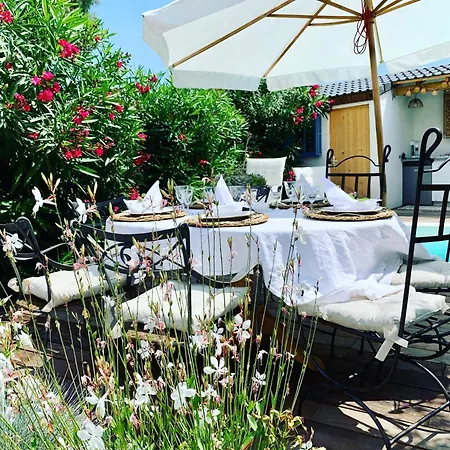 La Flamingo Toute Proche De La Biguglia (Corsica)