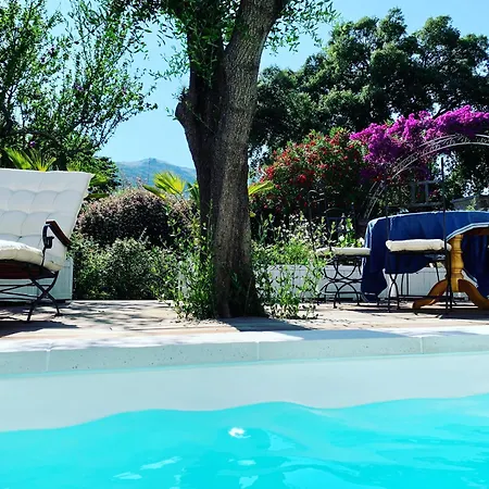 La Flamingo Toute Proche De La Hébergement de vacances *