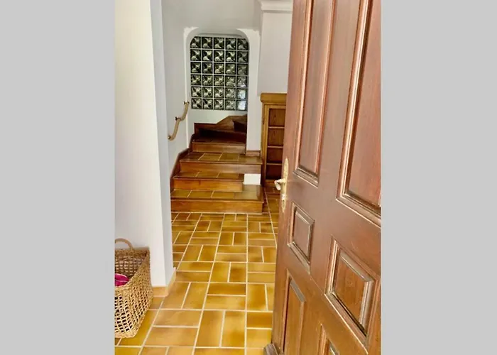 La Flamingo Toute Proche De La Biguglia (Corsica)