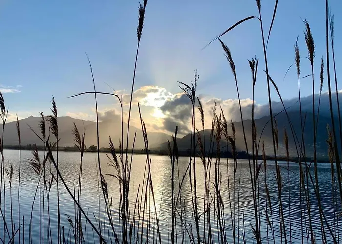 La Flamingo Toute Proche De La Dom wakacyjny *