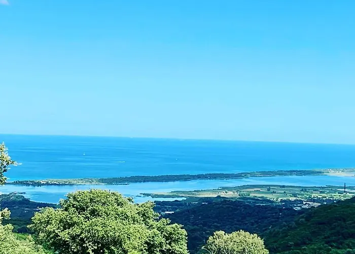 La Flamingo Toute Proche De La