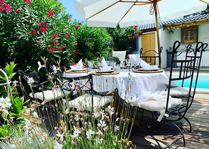 La Flamingo Toute Proche De La Biguglia (Corsica)