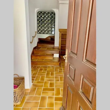 La Flamingo Toute Proche De La Biguglia (Corsica)