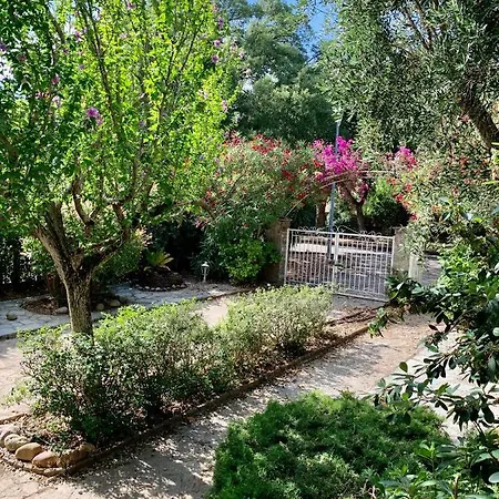 Semesterbostad La Flamingo Toute Proche De La *