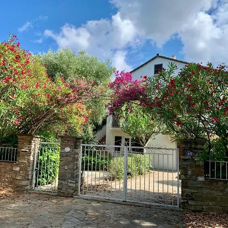 La Flamingo Toute Proche De La Biguglia (Corsica)