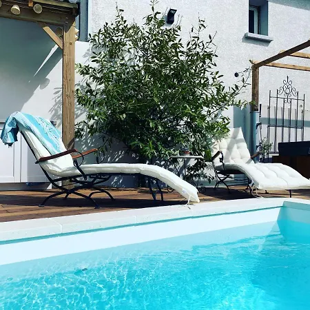 La Flamingo Toute Proche De La Biguglia (Corsica)