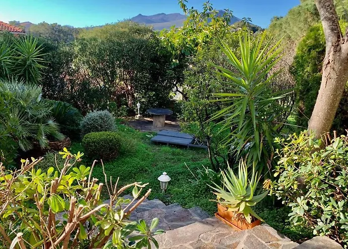 La Flamingo Toute Proche De La Hébergement de vacances *