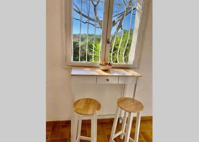 La Flamingo Toute Proche De La Biguglia (Corsica)