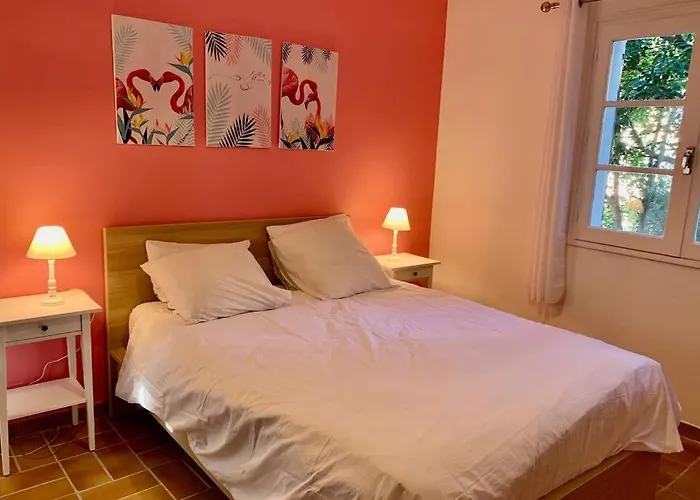 La Flamingo Toute Proche De La * Biguglia (Corsica)