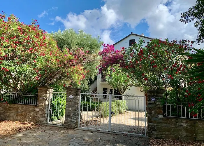 La Flamingo Toute Proche De La Biguglia (Corsica)