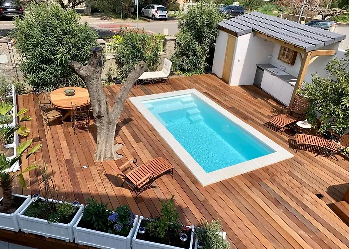 La Flamingo Toute Proche De La Biguglia (Corsica)